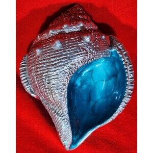 RARE ~ Stunning Beautiful Vtg Scalloped Conch Bowl/Dish by Julia Knight ~ RARE